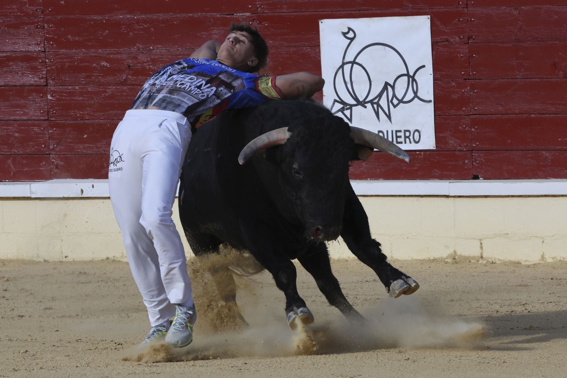 Las imágenes del concurso de cortes en Medina del Campo