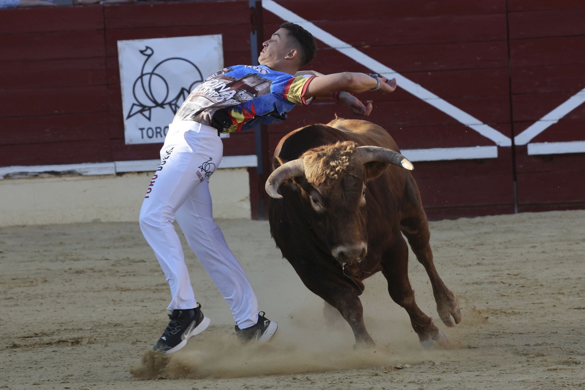 Las imágenes del concurso de cortes en Medina del Campo