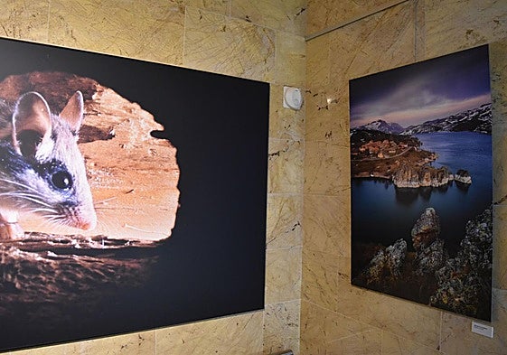 Exposición de fotos por las bodas de plata del parque Montaña Palentina.