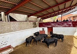 Así ha sido el sorteo de la corrida de rejones