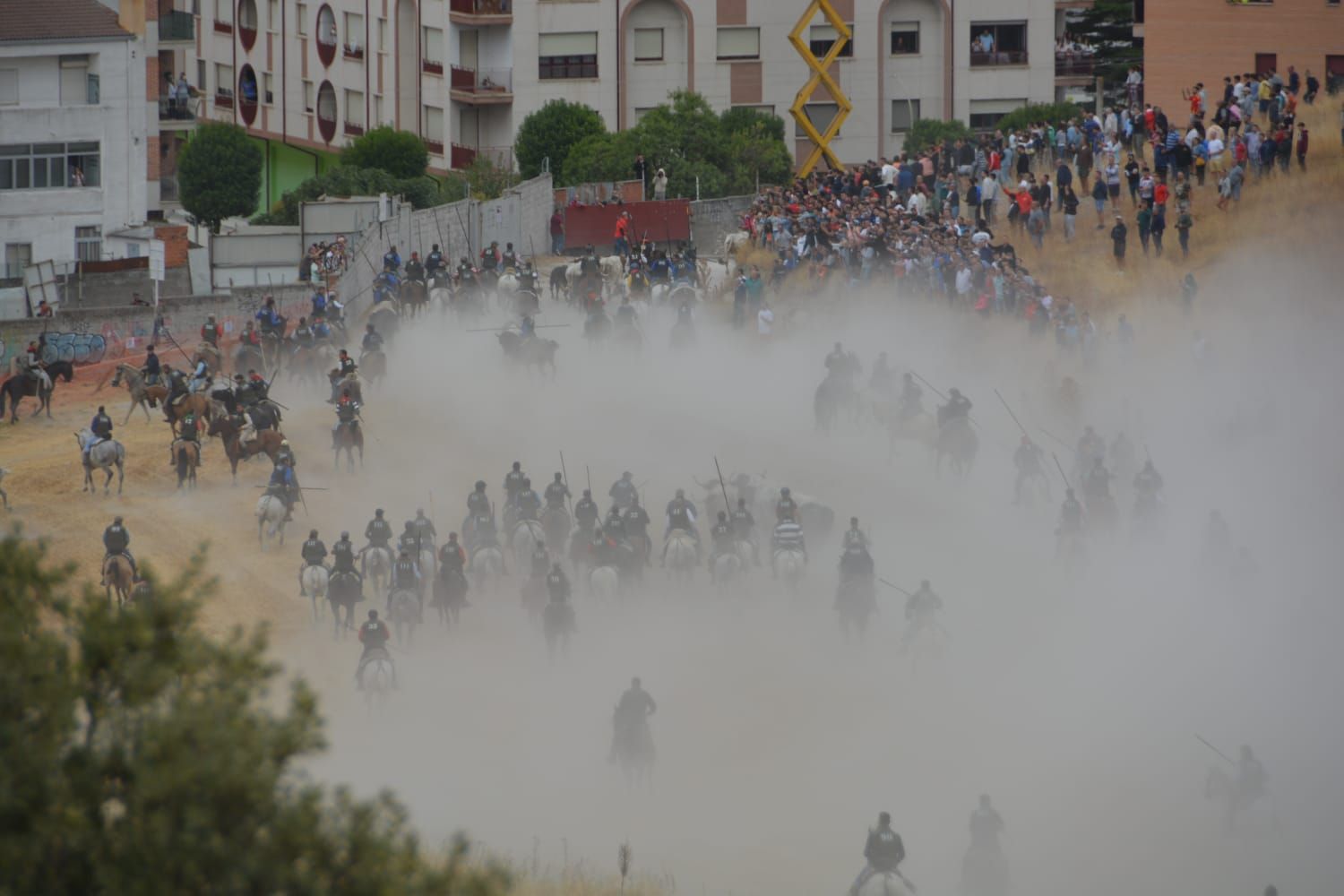 Fotos del tramo por el campo del primer encierro de Cuéllar