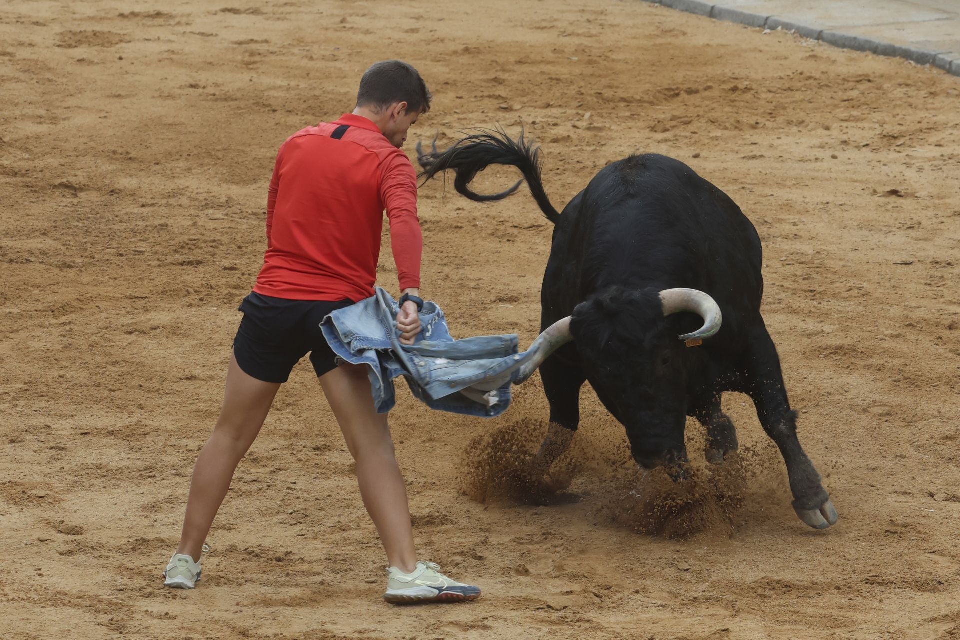 Encierro del domingo en Ataquines