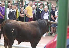 Encierro del domingo en Ataquines