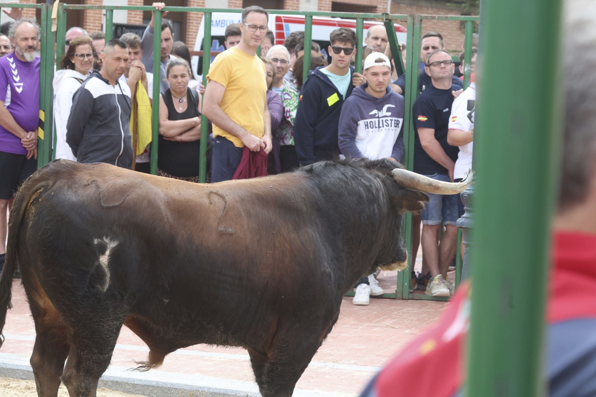 Encierro del domingo en Ataquines