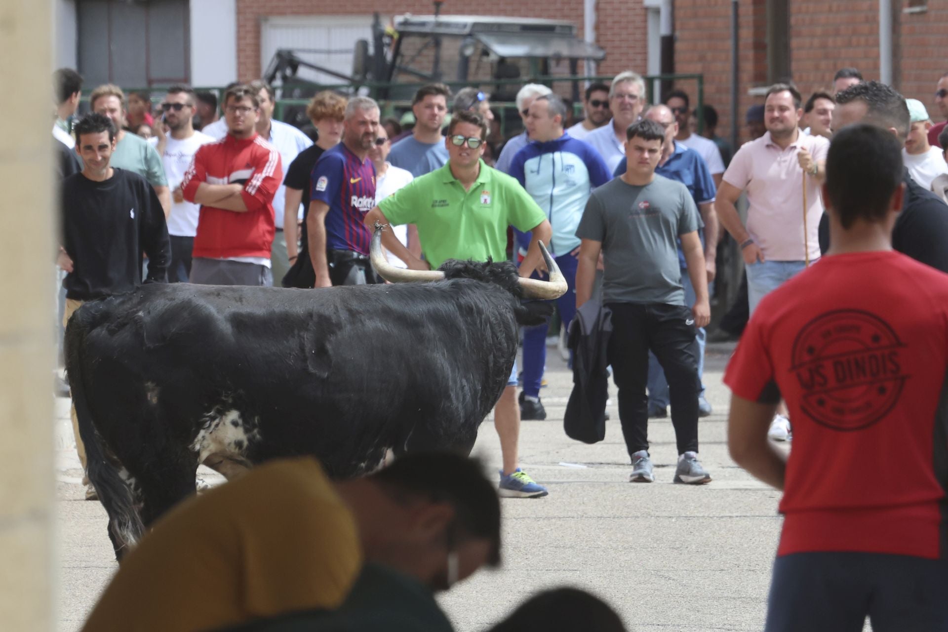Encierro del domingo en Ataquines
