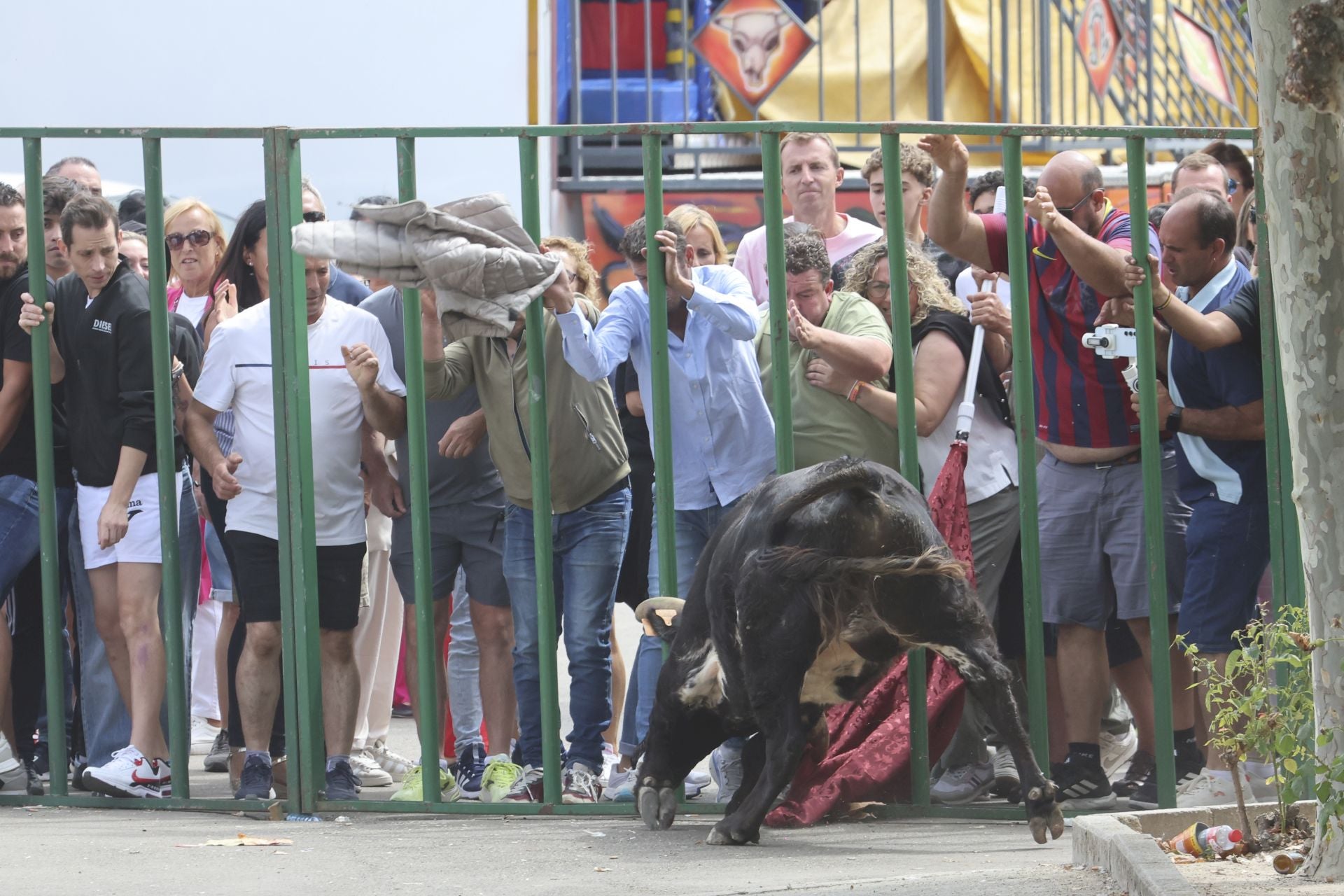 Encierro del domingo en Ataquines