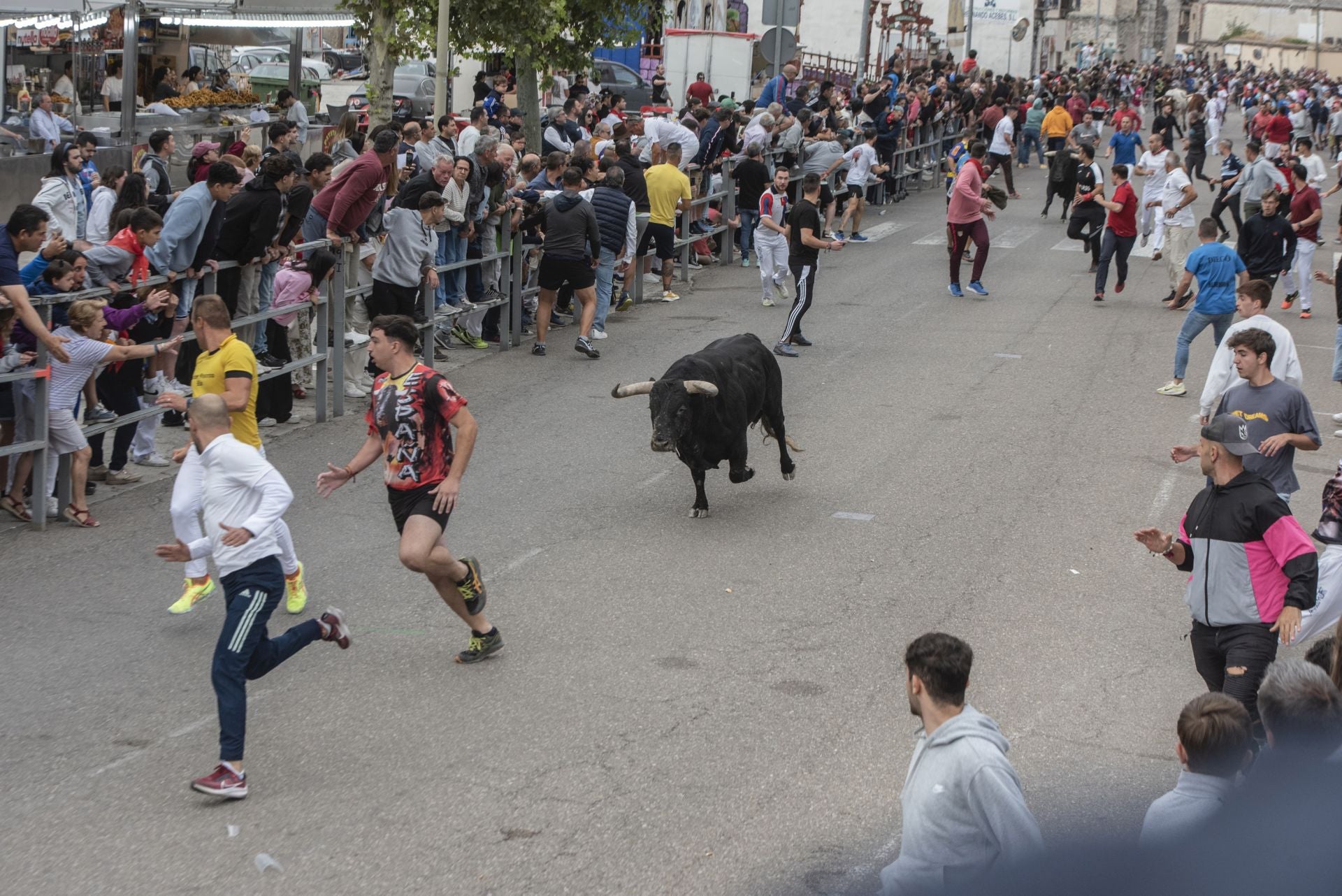 Fotos del tramo urbano del primer encierro de Cuéllar