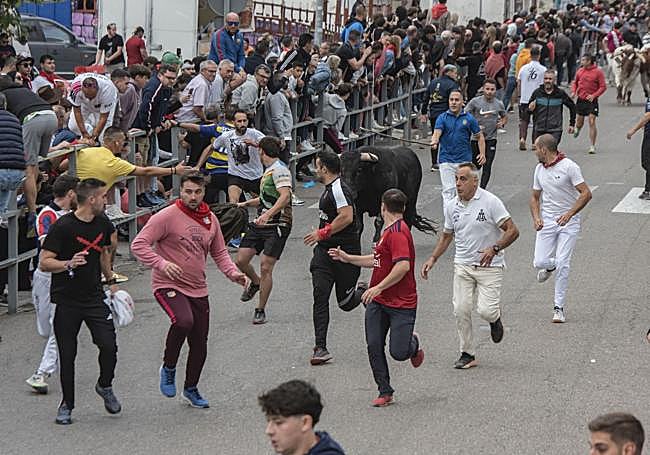 Tramo urbano de primer encierro de Cuéllar.
