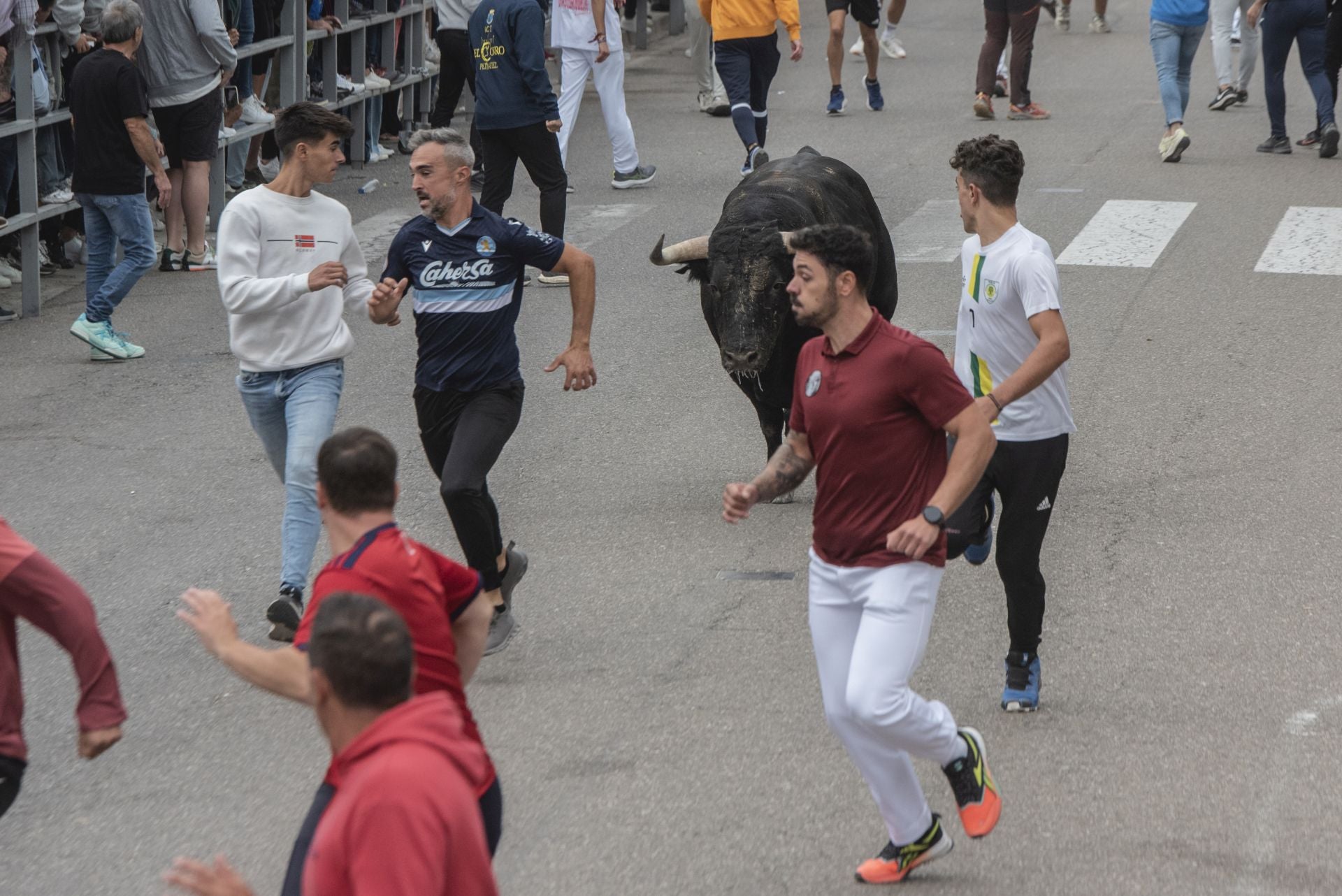 Fotos del tramo urbano del primer encierro de Cuéllar