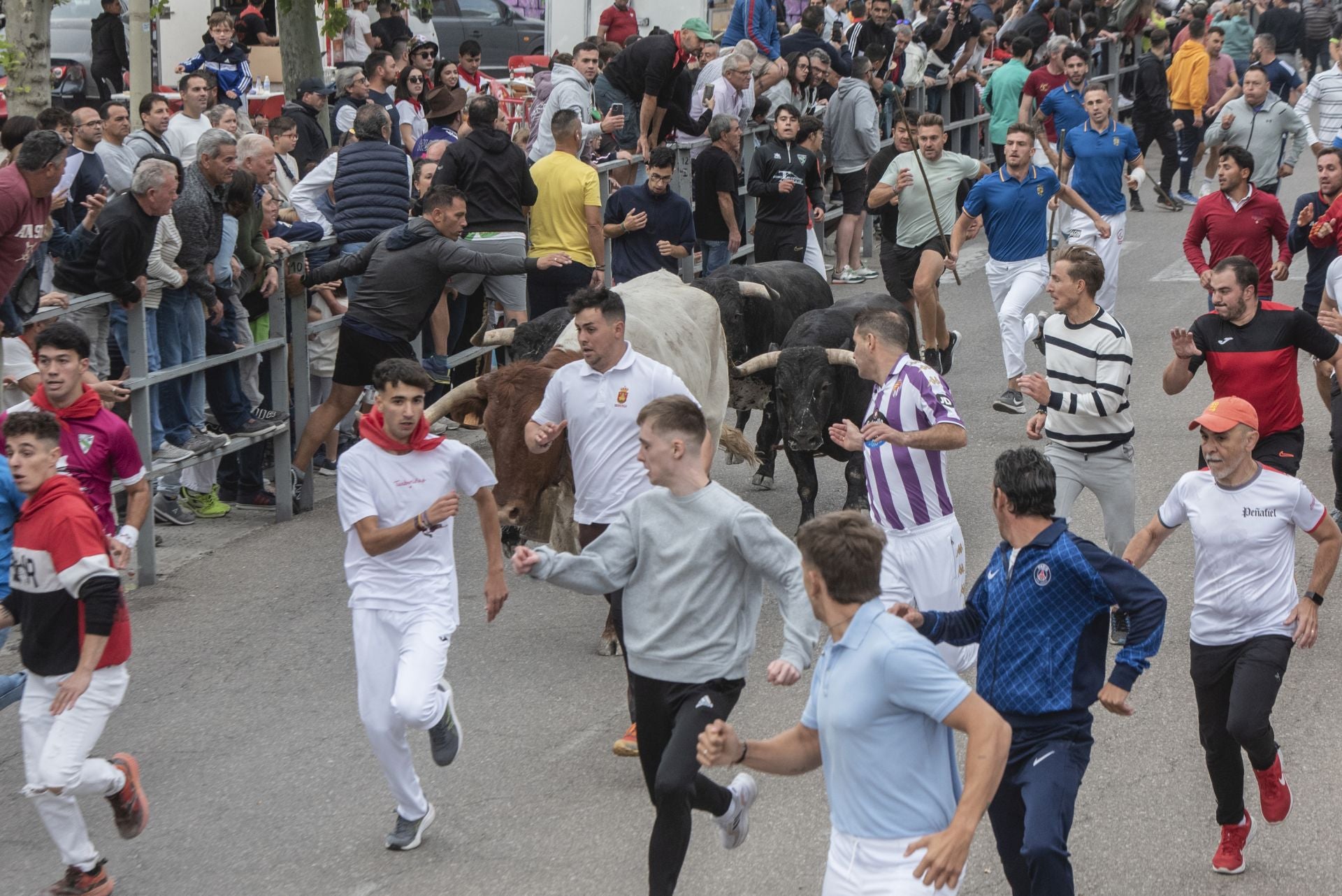 Fotos del tramo urbano del primer encierro de Cuéllar