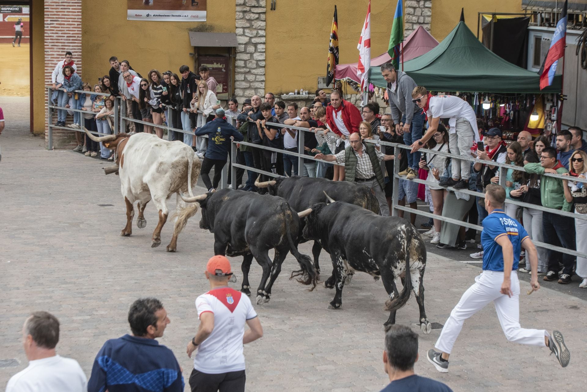 Fotos del tramo urbano del primer encierro de Cuéllar