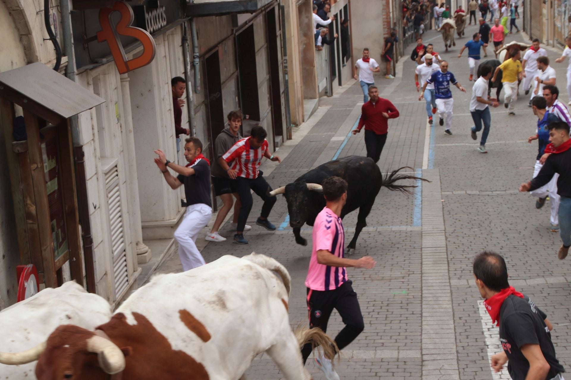 Fotos del tramo urbano del primer encierro de Cuéllar