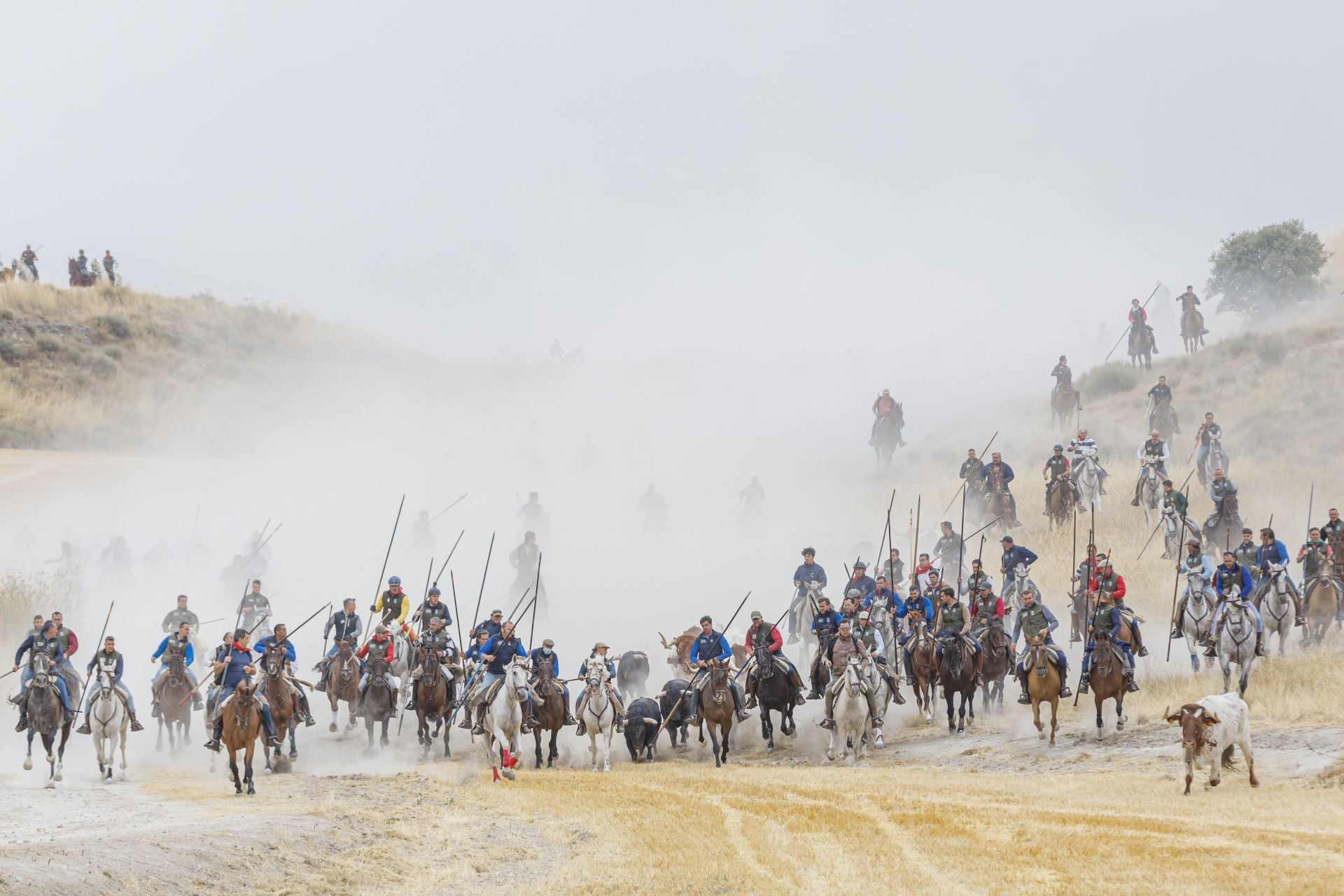 Fotos del tramo por el campo del primer encierro de Cuéllar