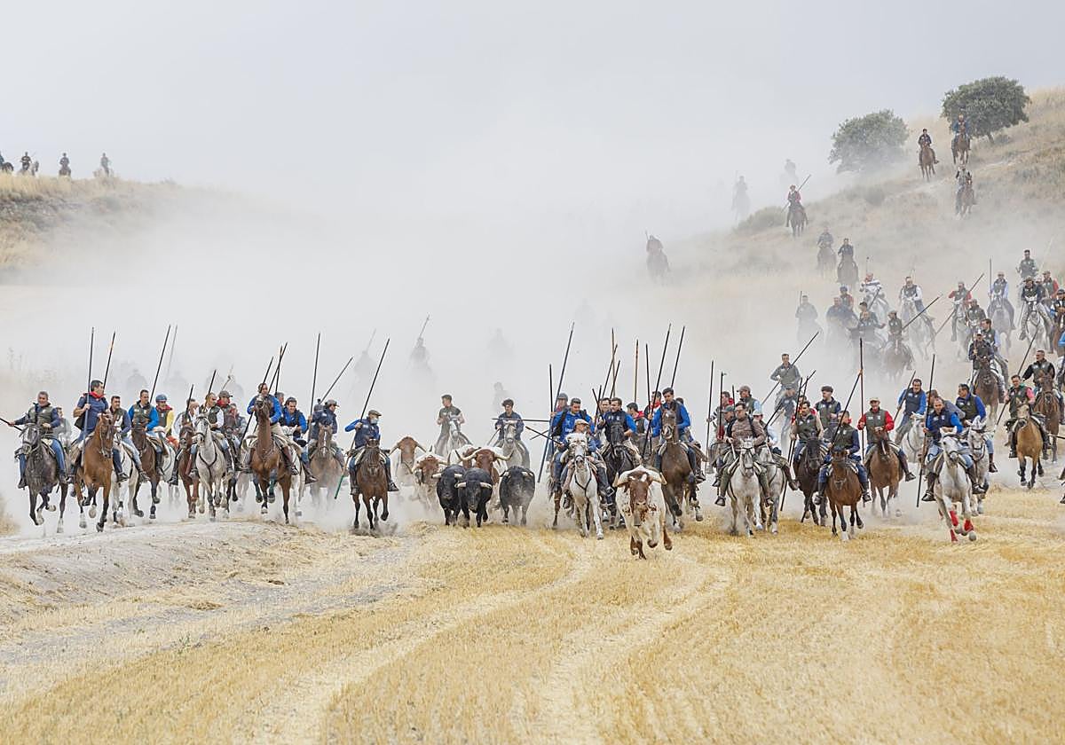 Caballistas acompañan a los toros de Araúz de Robles en la bajada del Embudo.