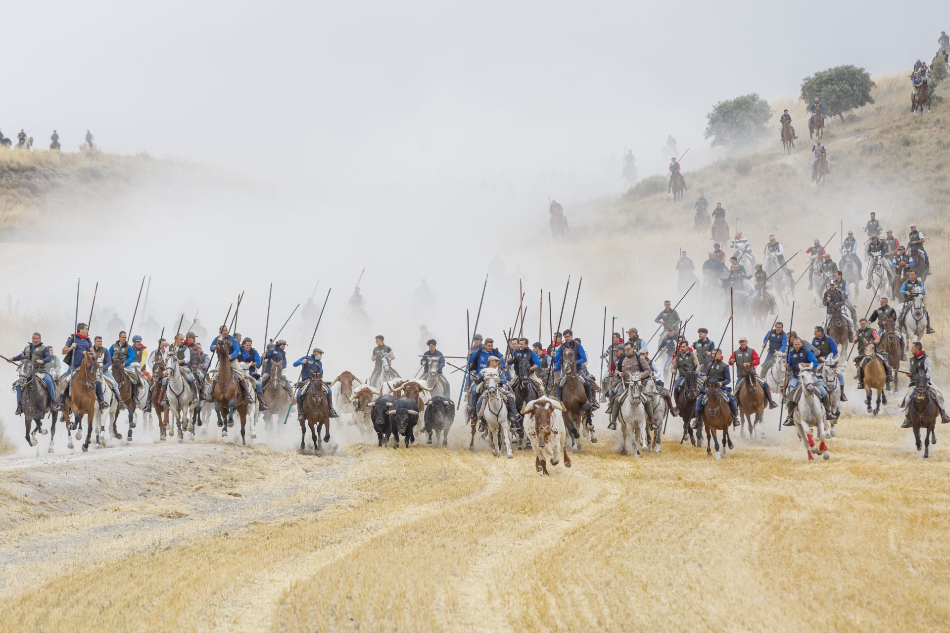 Fotos del tramo por el campo del primer encierro de Cuéllar