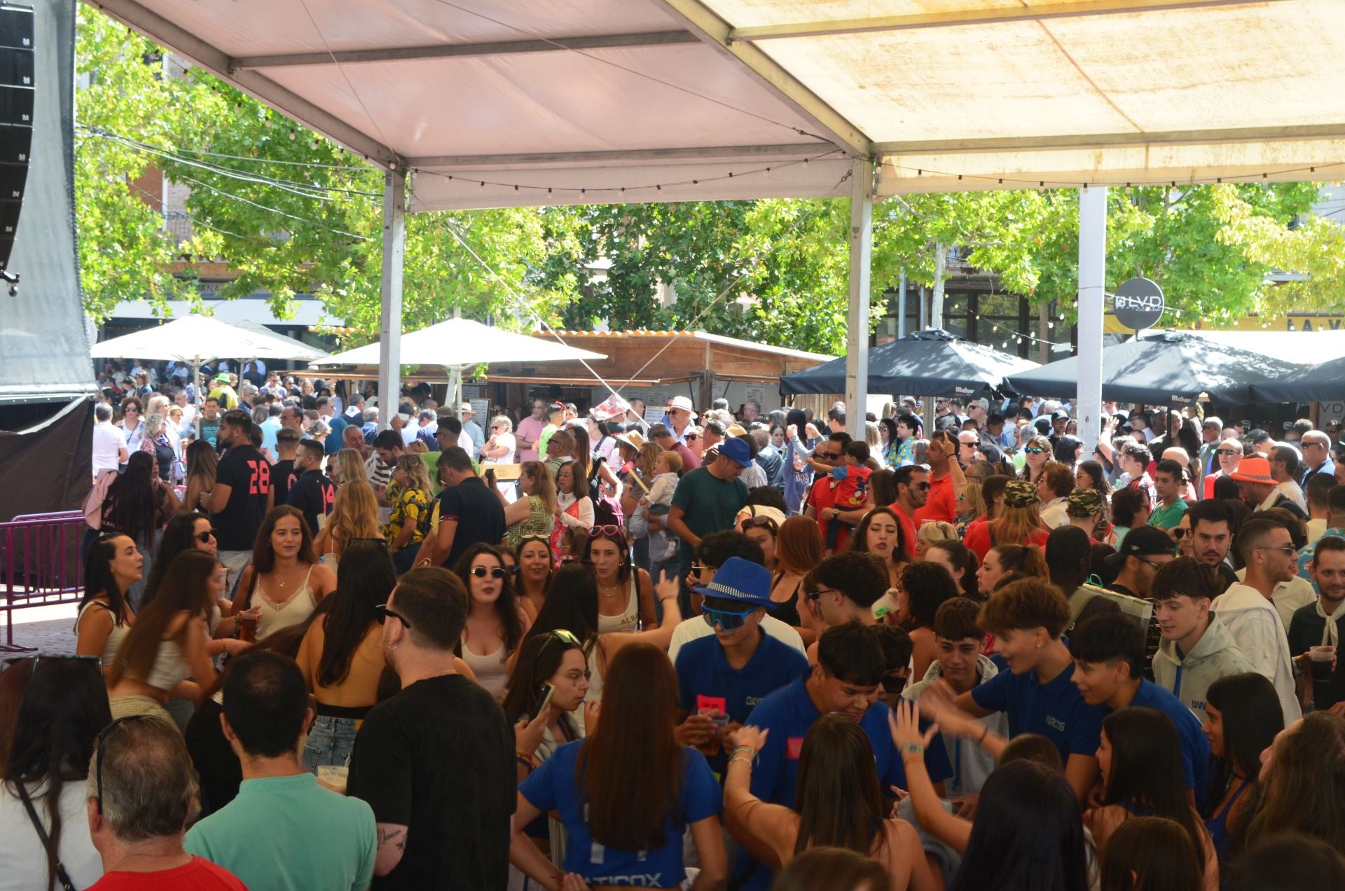 Las imágenes de la colocación de la bandera en Medina del Campo