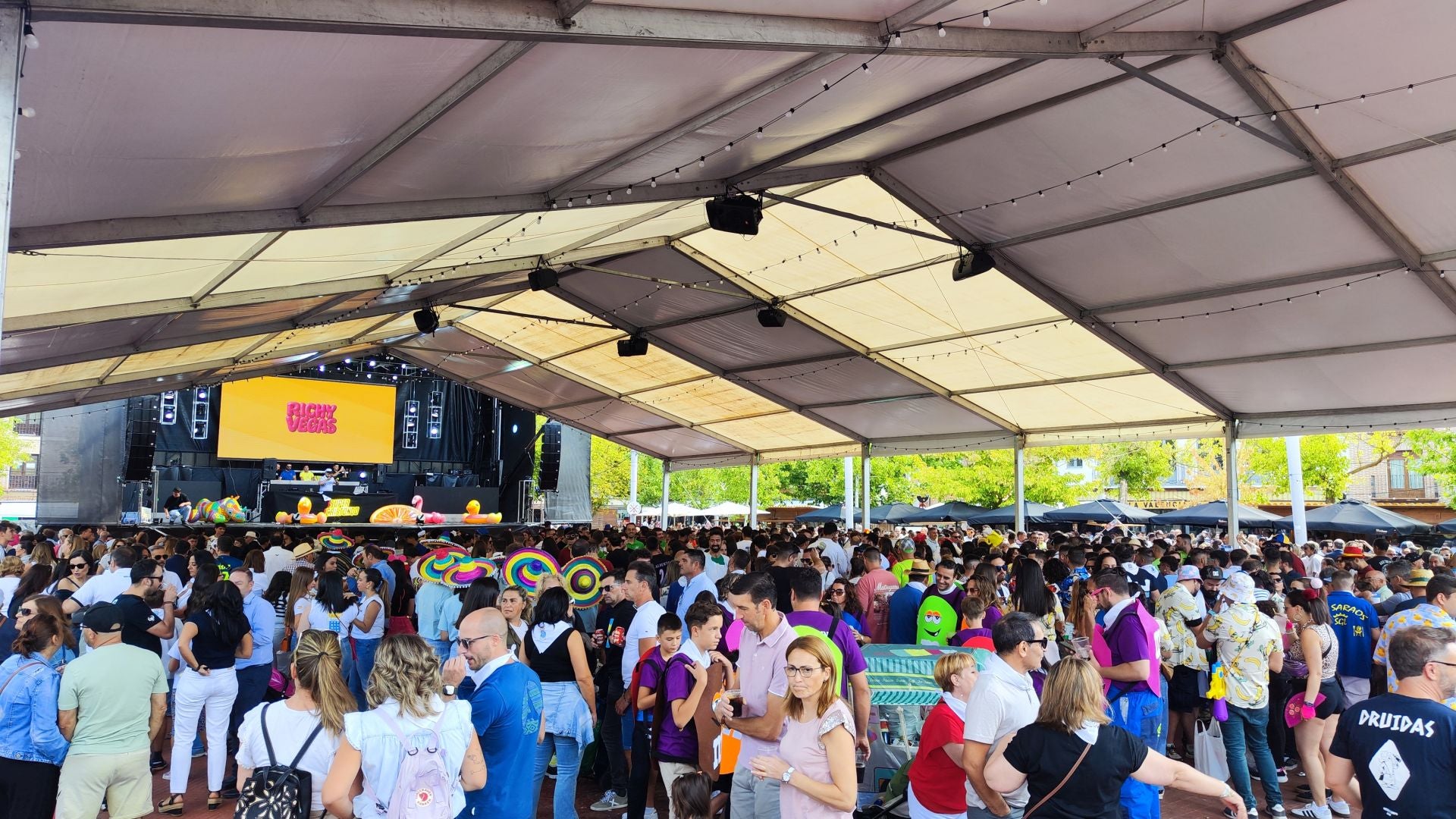 Las imágenes de la colocación de la bandera en Medina del Campo