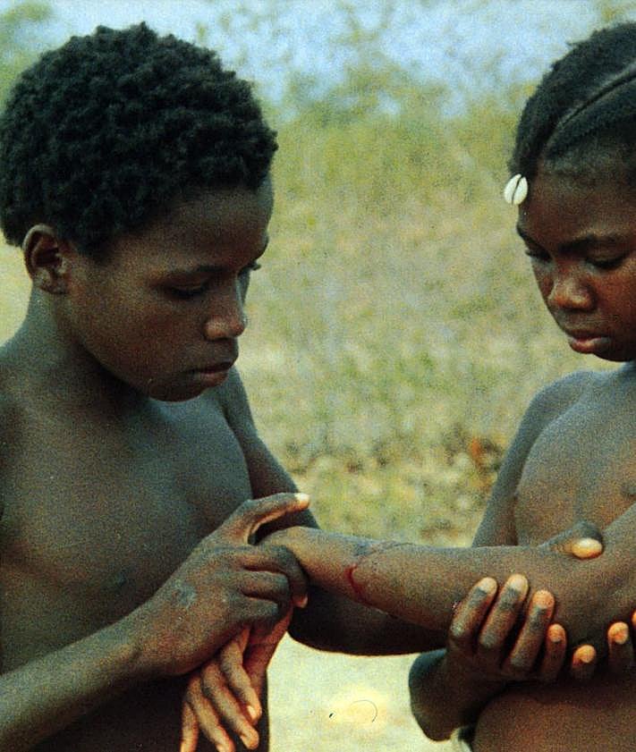 Imagen secundaria 2 - Fotogramas de 'Una árida estación' (arriba), 'Lucía' y 'Yaaba' (abajo).