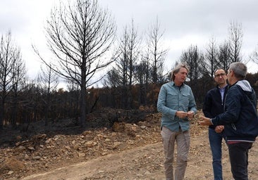 Martínez acusa a Mañueco de «irresponsabilidad» por asegurar que el operativo contra incendios funcionó