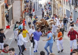 Fotos del segundo encierro de Cuéllar en su tramo urbano