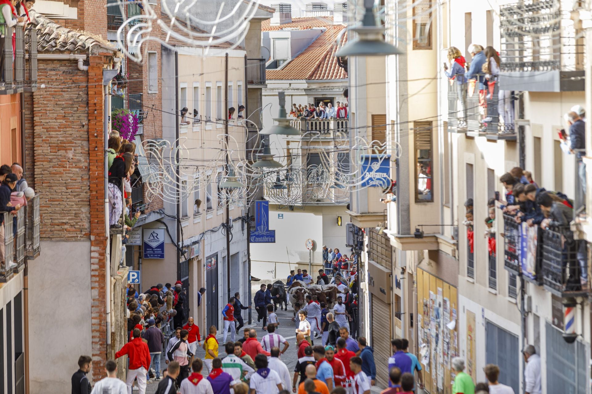 Fotos del segundo encierro de Cuéllar en el tramo urbano