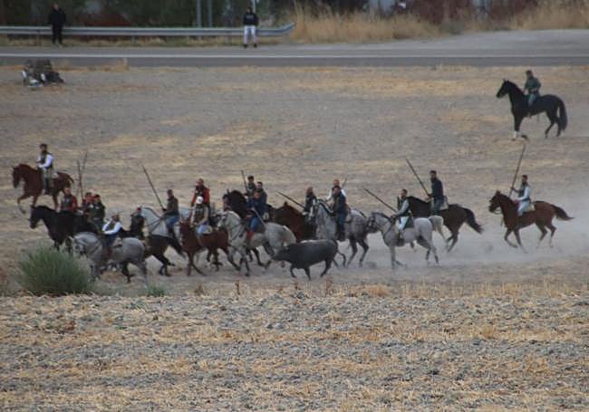 Fotos del segundo encierro de Cuéllar.