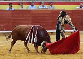 Castella se gusta en el toreo natural.