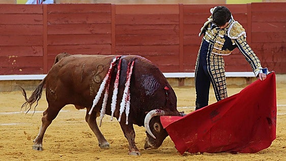Triunfo de Castella que contó con un noble y dócil lote al que cortó tres orejas