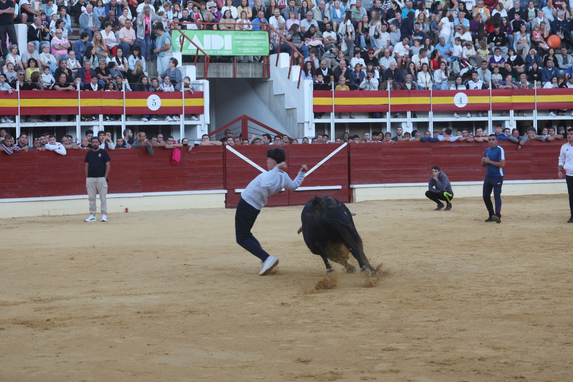 El encierro de Medina del Campo, en imágenes