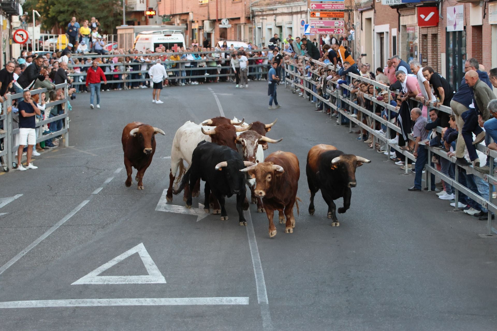El encierro de Medina del Campo, en imágenes
