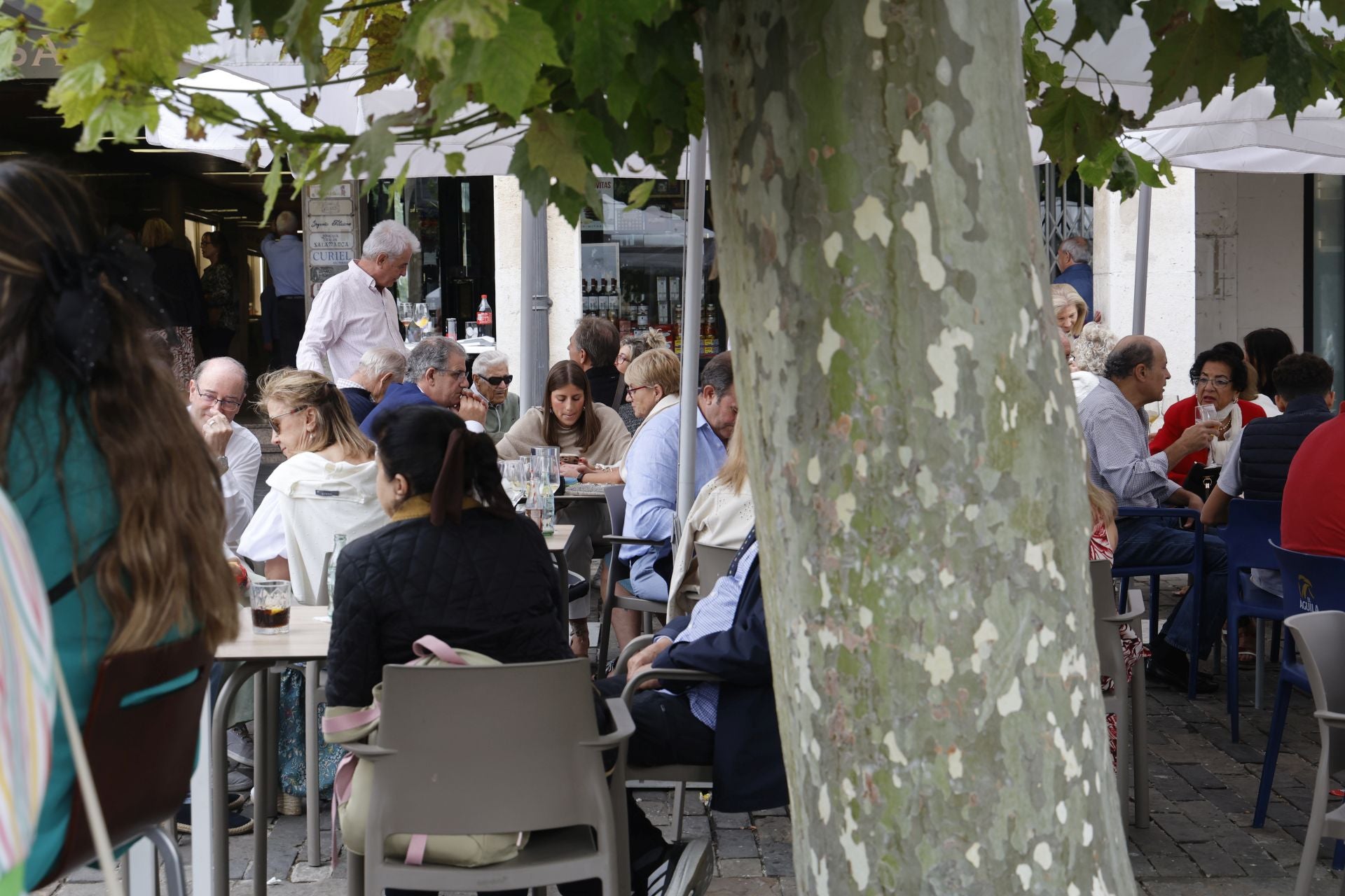 Los palentinos llenan las calles por San Antolín