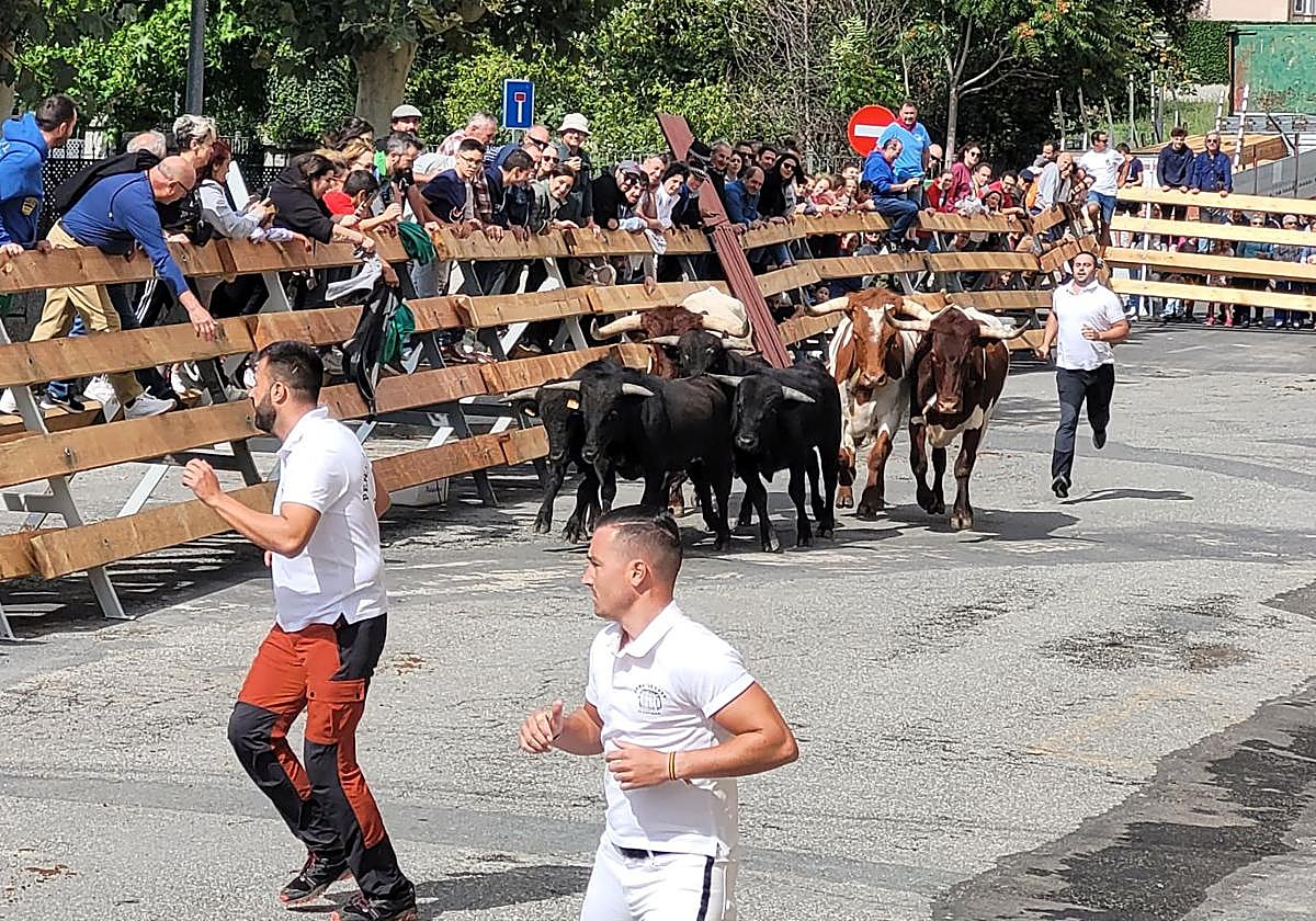 Encierros en El Espinar.