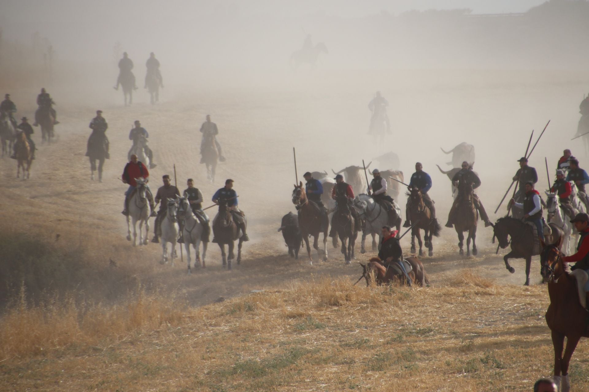 Fotos del tercer encierro de Cuéllar por el campo y el pinar