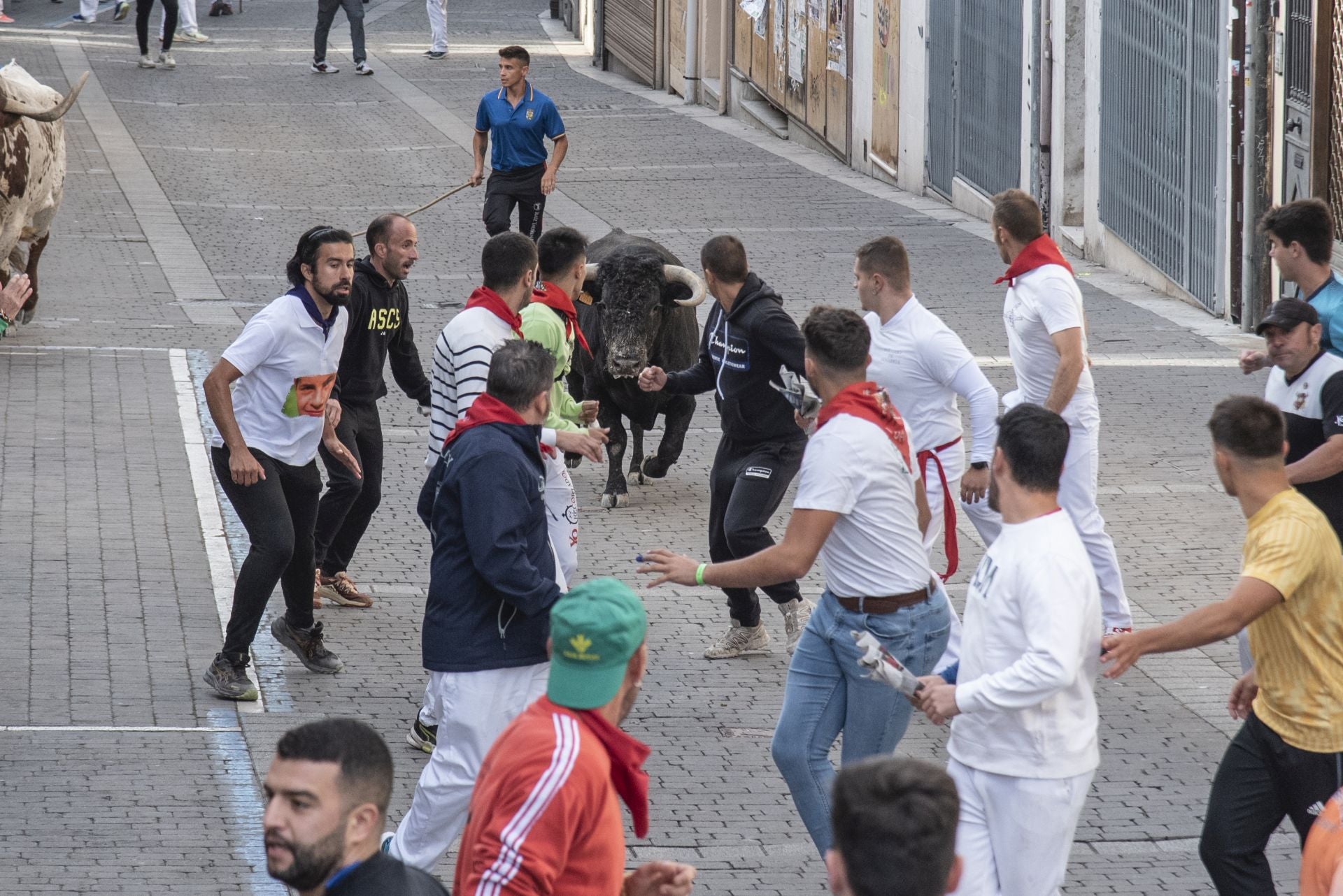 Fotos del tercer encierro de Cuéllar por las calles de la villa