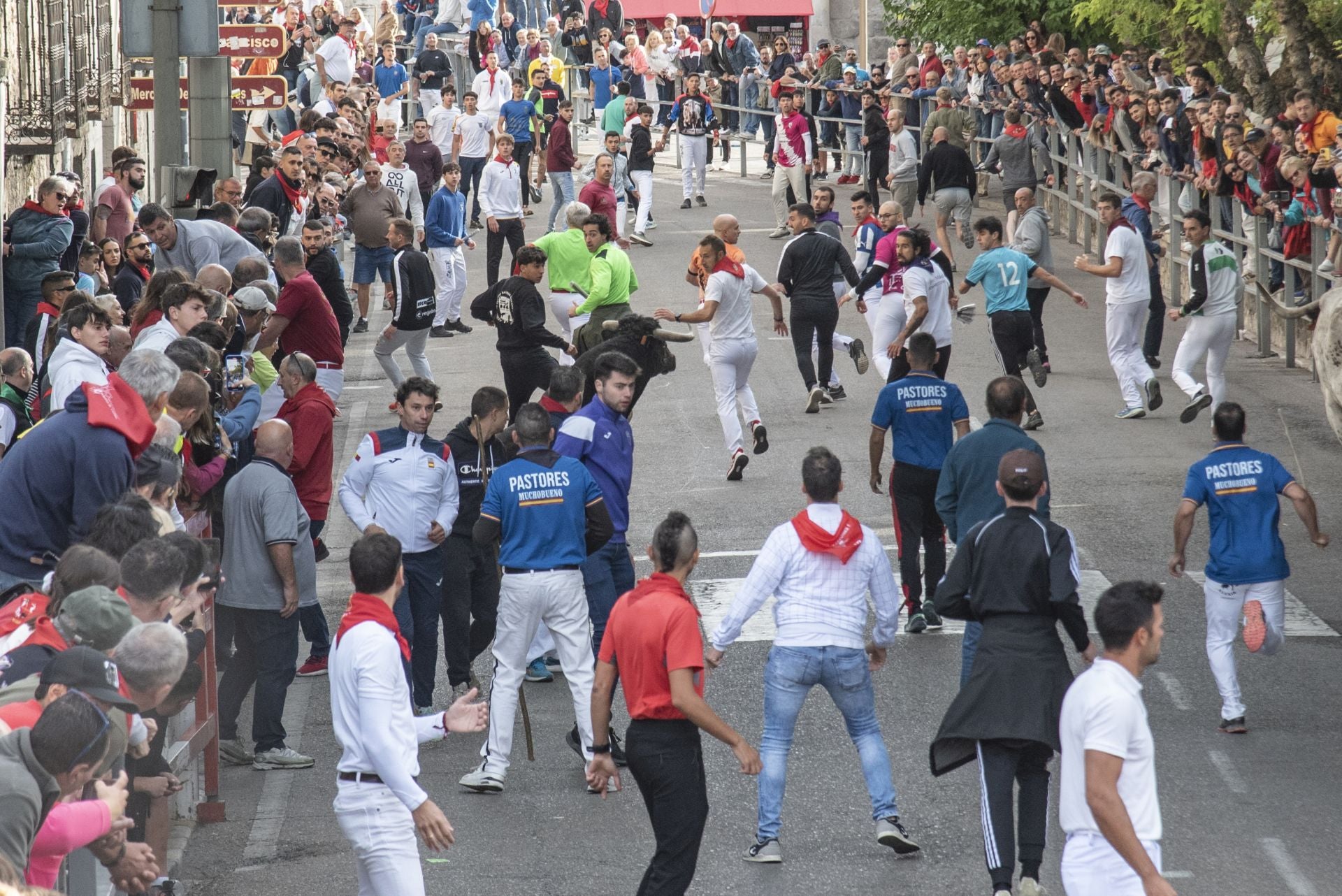 Fotos del tercer encierro de Cuéllar por las calles de la villa
