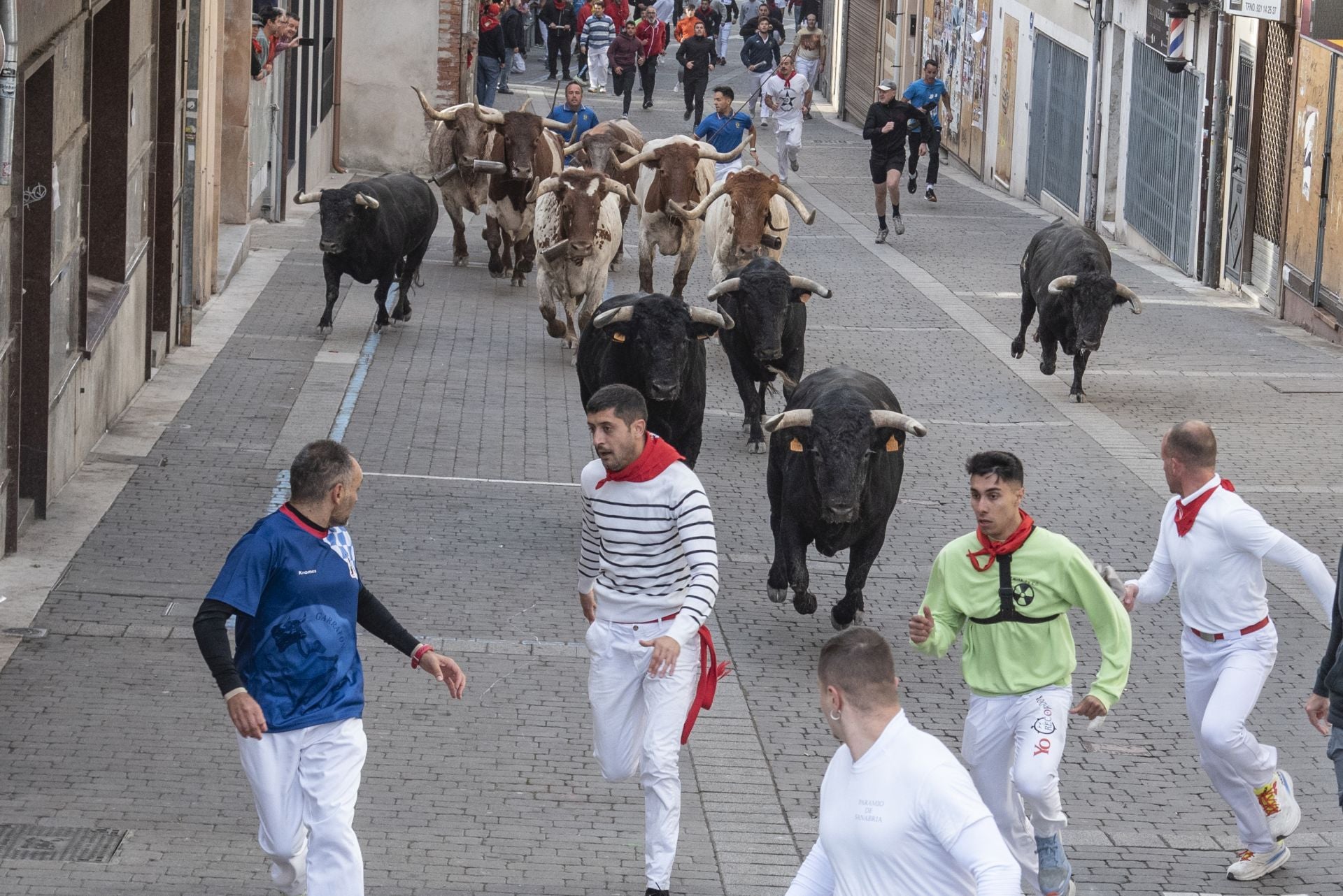 Fotos del tercer encierro de Cuéllar por las calles de la villa