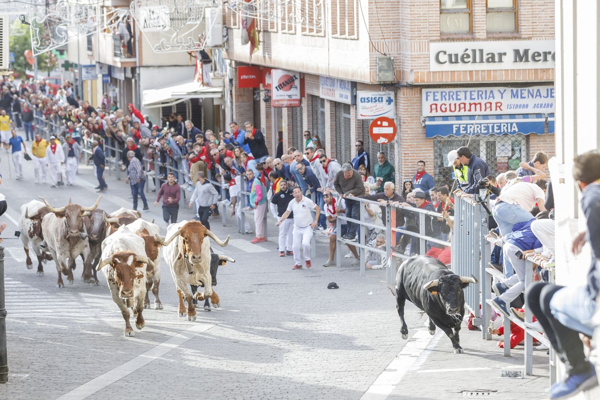 Fotos del tercer encierro de Cuéllar por las calles de la villa
