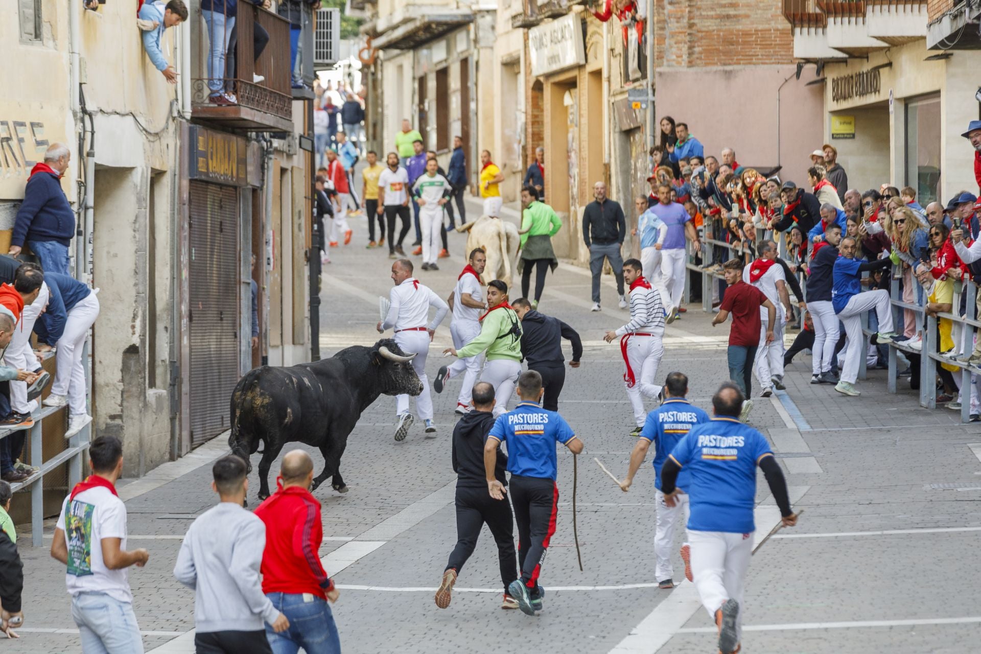 Fotos del tercer encierro de Cuéllar por las calles de la villa