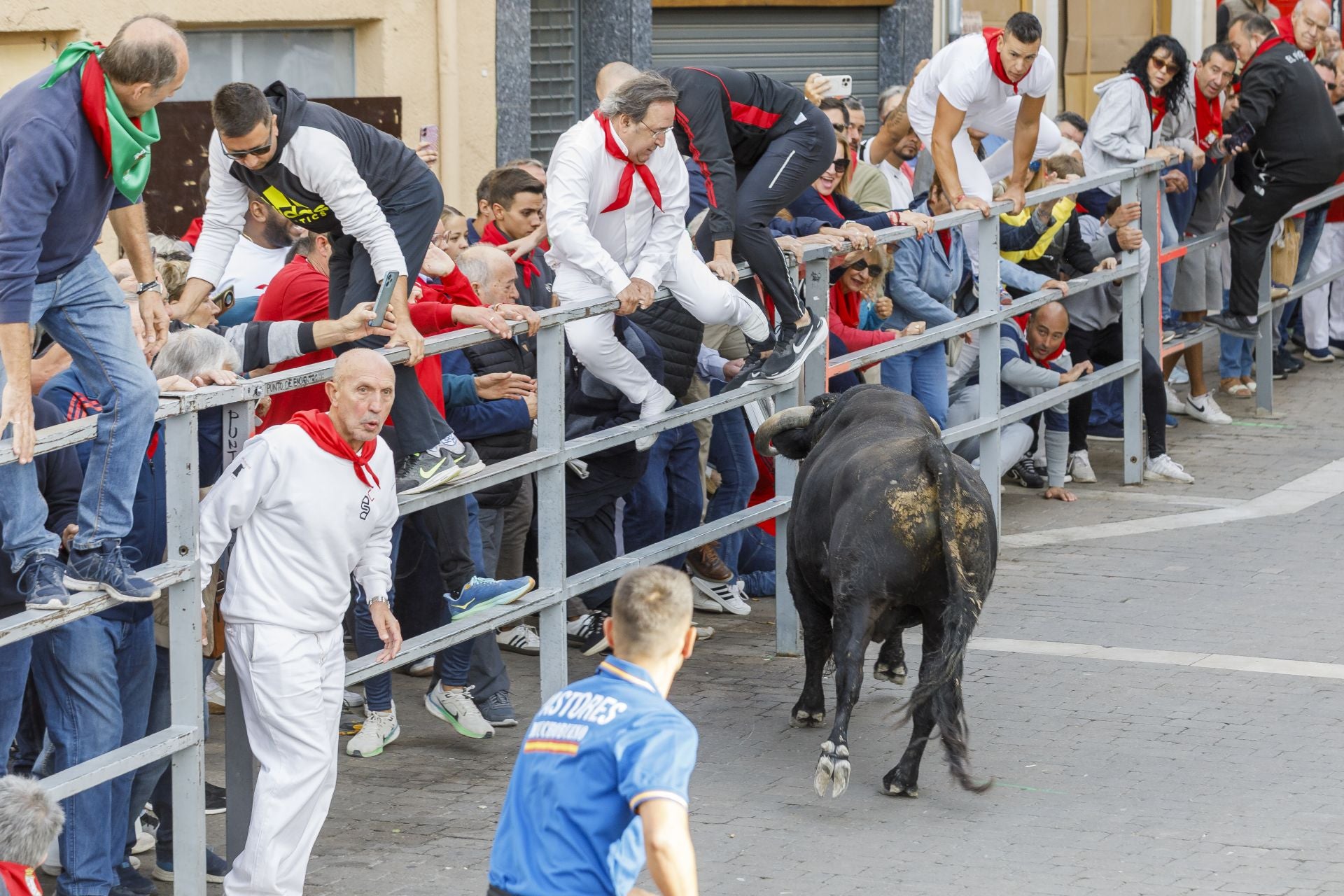 Fotos del tercer encierro de Cuéllar por las calles de la villa
