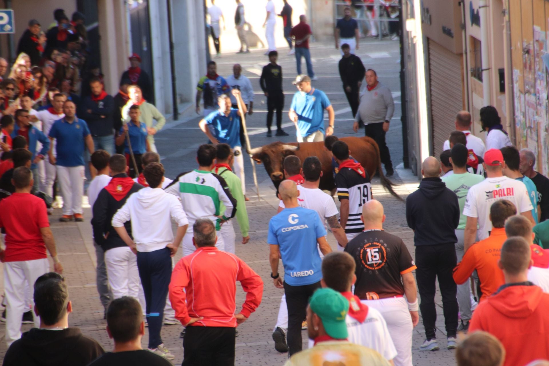 Fotos del cuarto encierro por las calles de Cuéllar