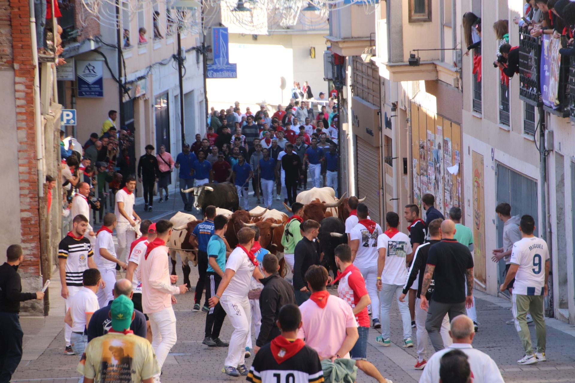 Fotos del cuarto encierro por las calles de Cuéllar