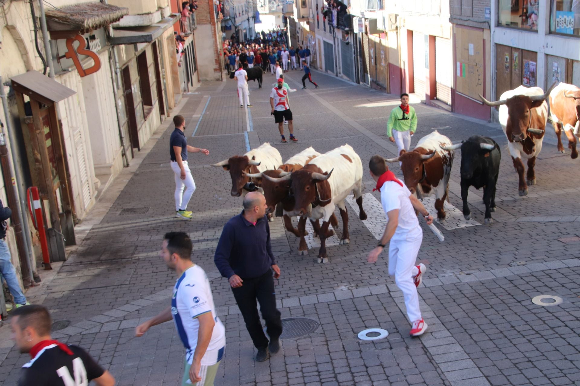 Fotos del cuarto encierro por las calles de Cuéllar