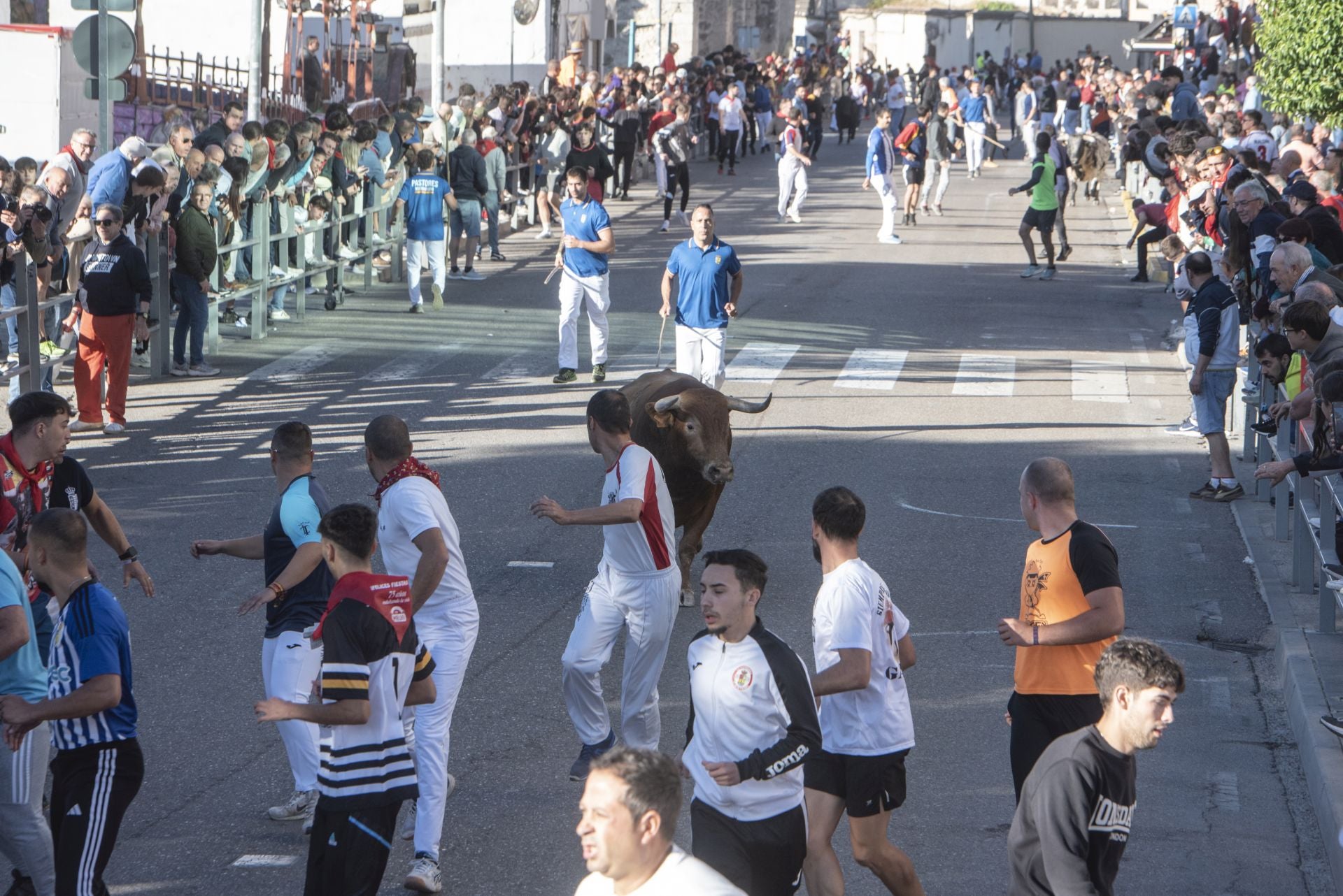 Fotos del cuarto encierro por las calles de Cuéllar