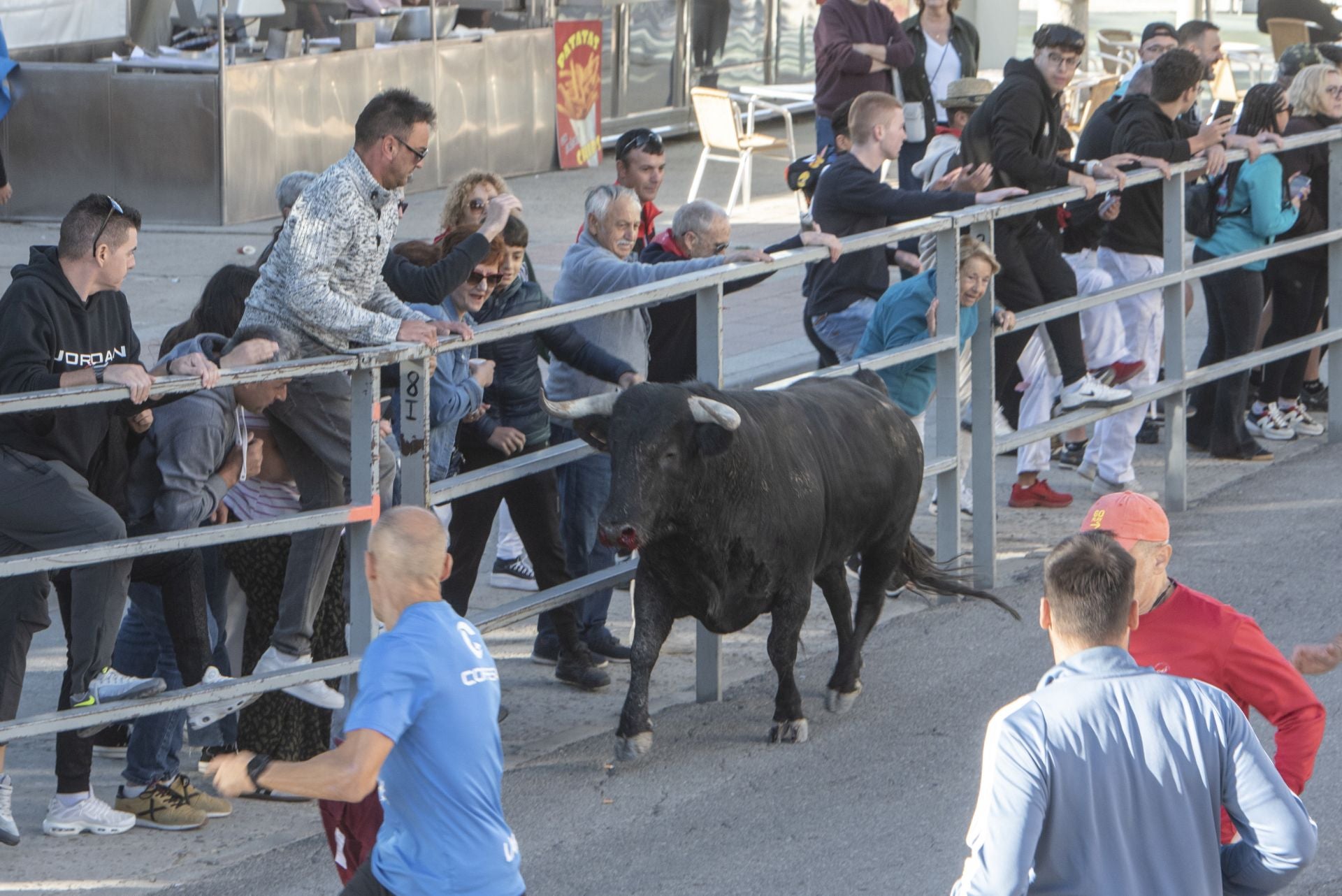 Fotos del cuarto encierro por las calles de Cuéllar