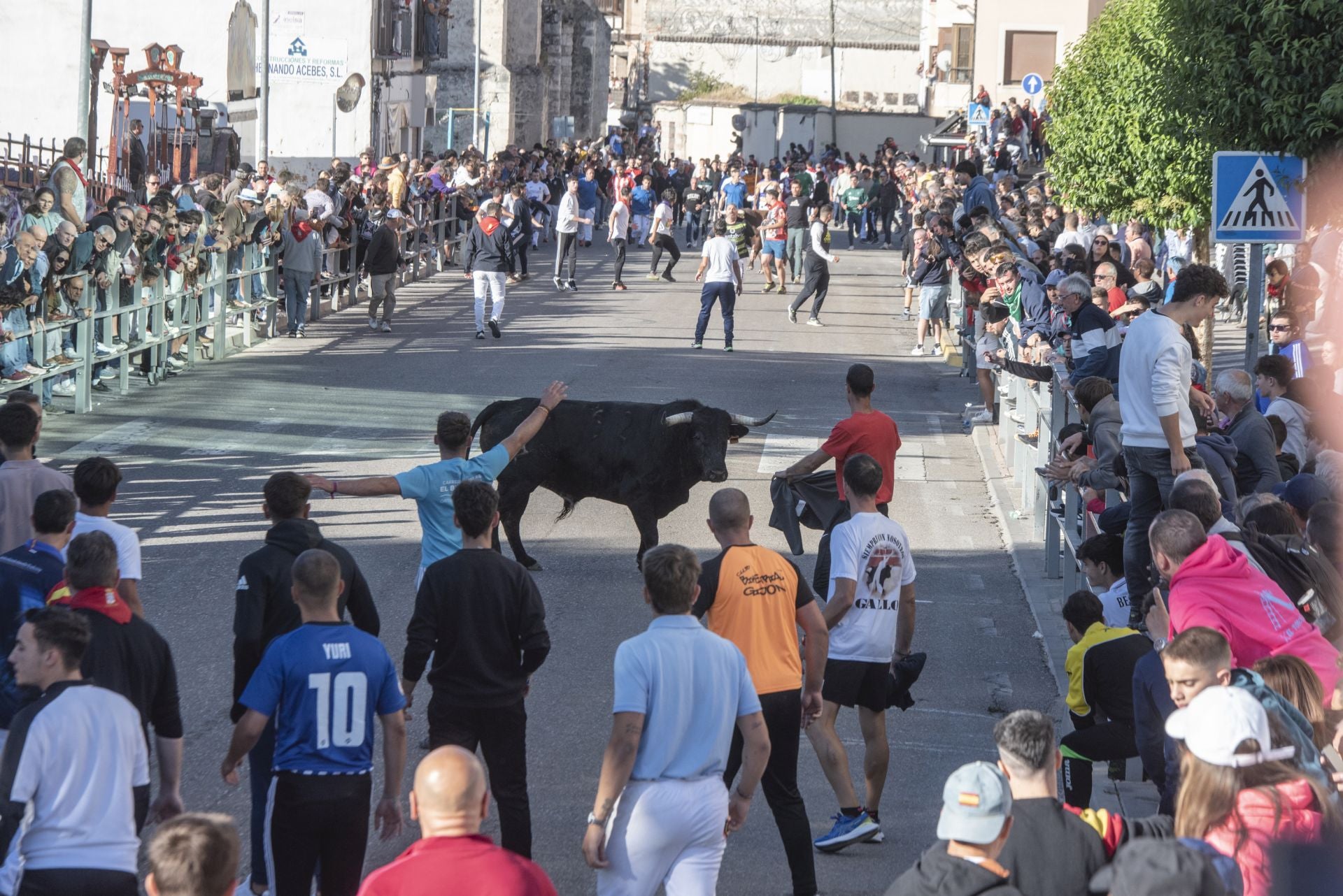 Fotos del cuarto encierro por las calles de Cuéllar