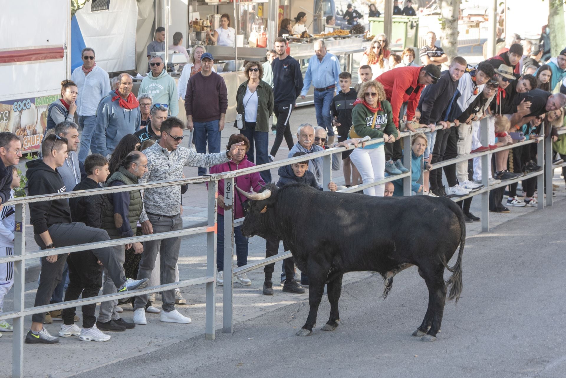 Fotos del cuarto encierro por las calles de Cuéllar