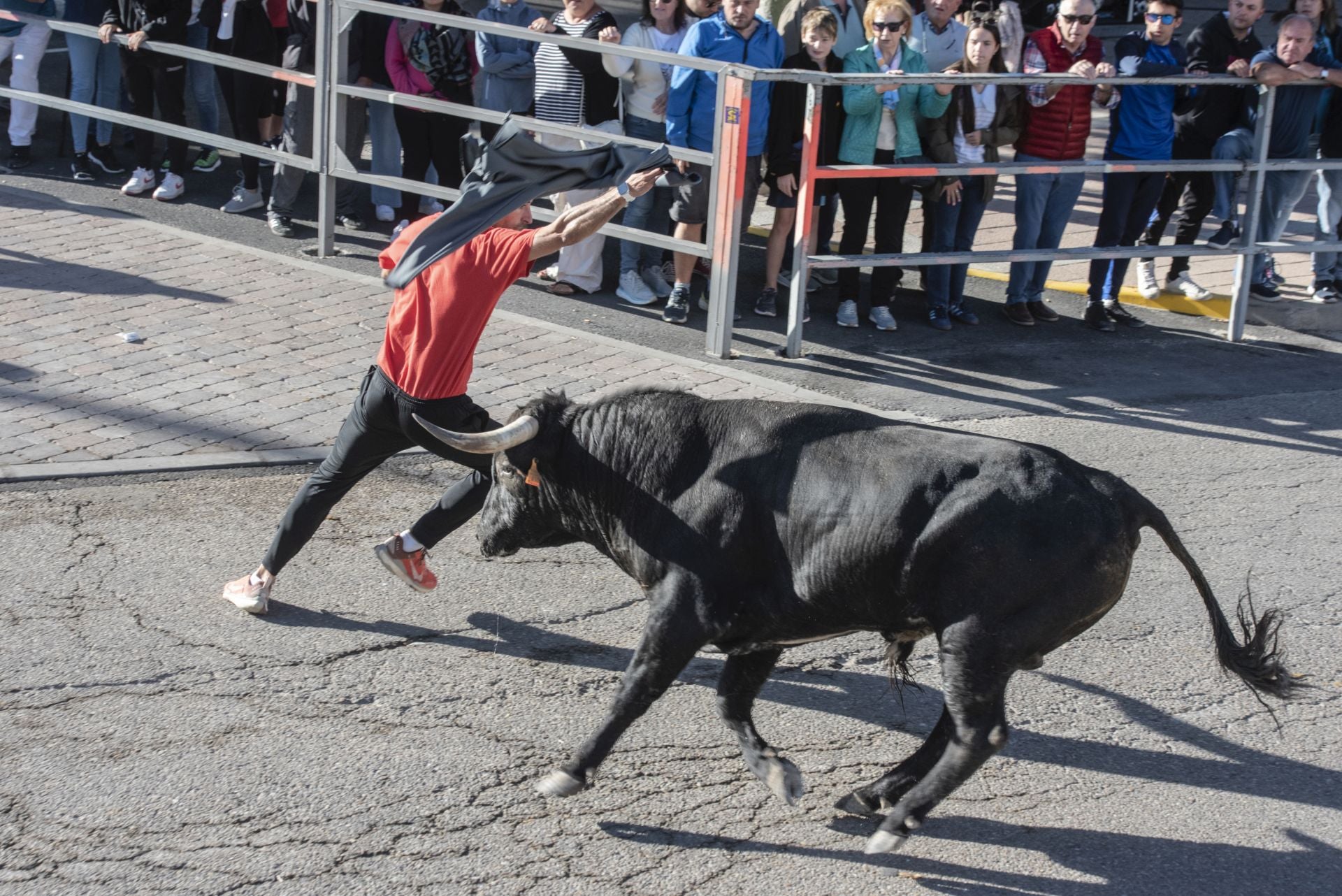 Fotos del cuarto encierro por las calles de Cuéllar