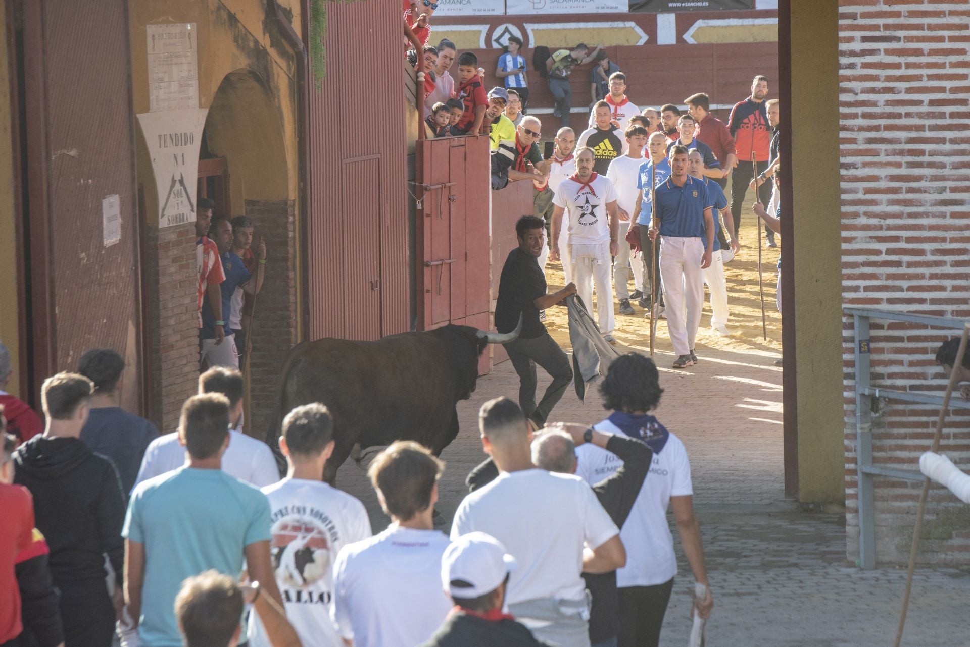 Fotos del cuarto encierro por las calles de Cuéllar