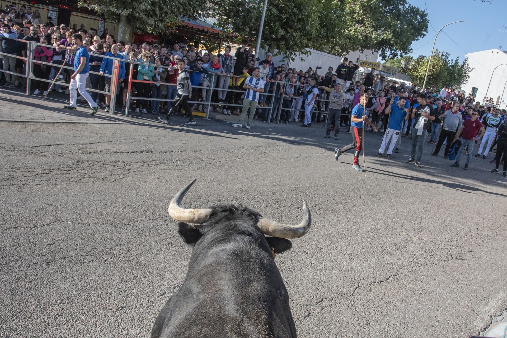 Fotos del cuarto encierro por las calles de Cuéllar