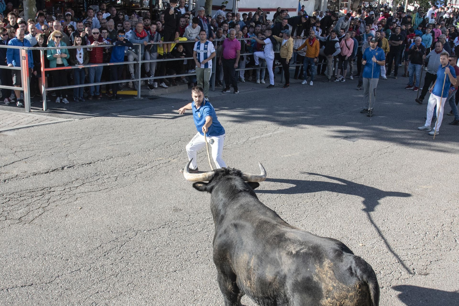Fotos del cuarto encierro por las calles de Cuéllar